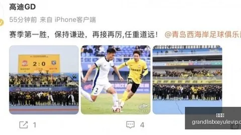 篮球界新势力：文班法国选手，重塑运动格局，影响力独步天下